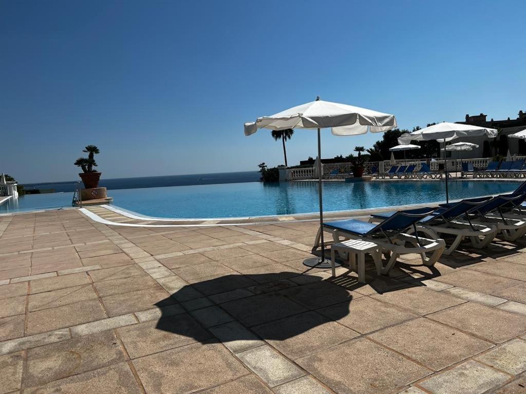 Beautiful Garden Apartment Cote D'Azur Cannes Dış mekan fotoğraf