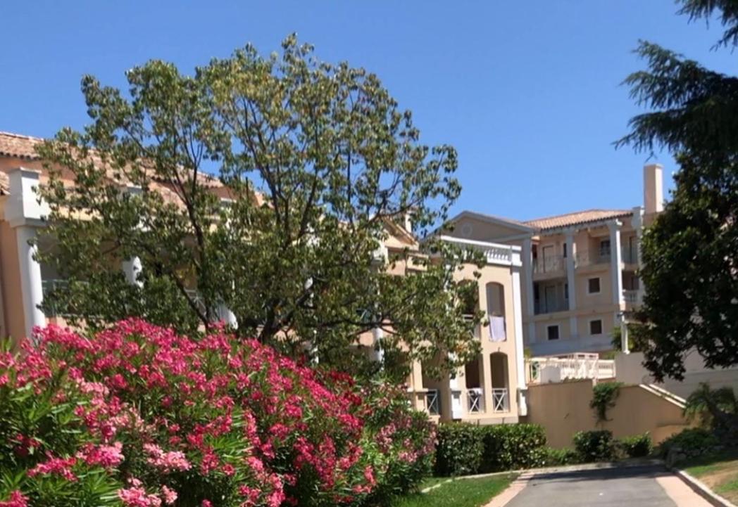 Beautiful Garden Apartment Cote D'Azur Cannes Dış mekan fotoğraf